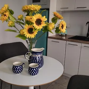 Apartament Spacious In The Heart Of Poznań